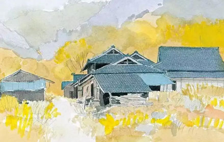 这五位绘本大师的作品，是我每日学习的灵感来源